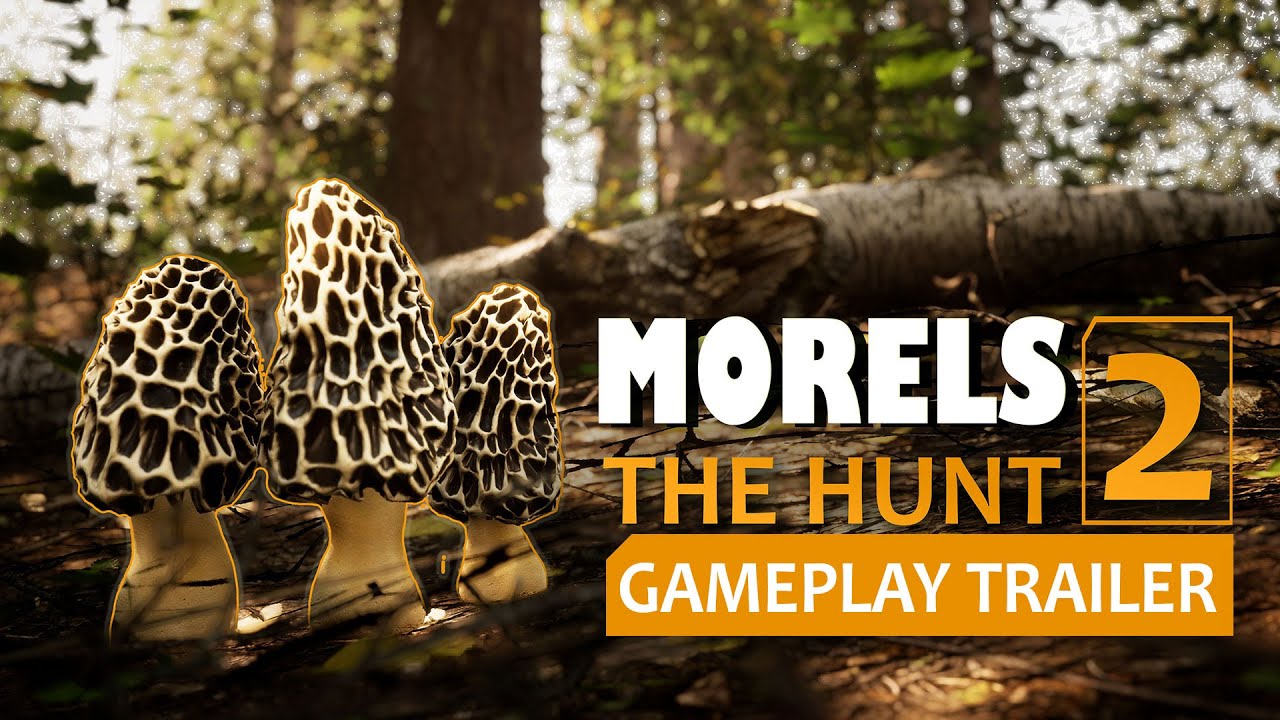 Morels: The Hunt 2 - Gameplay Trailer - YouTube